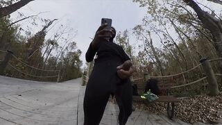 Public masturbation at the park