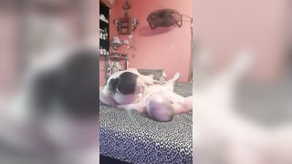 Spouse and wife screwing anew