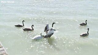 Rampant Robbery Part 1: Bi Besties Leya Desantis And Veronica Leal Share A Glass Vibrator In The Sexy Tub GP3341