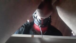 thirty Minutes compilation of Facial Banging with Ring Gag, Oral pleasure Creampies and Facials