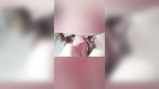 Oral-job in the morning
