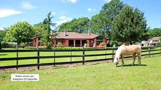 Porn Story “THE GODMOTHER KNOWS HOW TO RIDE WEENIE”