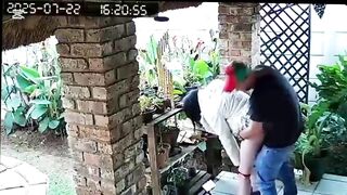 Cuckold ally wanted me to screw his bitch wife whilst that guy jerks off