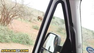 Hawt Natural Black Babe Gets Screwed Coarse In The Backseat After Begging For White Knob