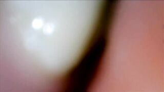 petite human in dominatrix bag of gummybears pov