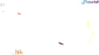 Trailer Gigi likes to have some joy and when there're multiple BBCs around that babe tens to take 'em at the same time. This trio scene between her and Beefy Dre with DatJGuy had alot of gracious moments