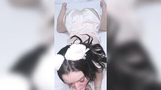 Tiny Kitten in Satin Pajamas Gets Caught Taking Photos and Things Get Wild