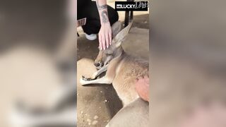 A Real Australian Experience With Aussie Chick Jade Harper