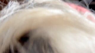 I couldn't resist so I screwed my most good ally