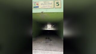 VLOG: In nature's garb Beach in Miami with two Curvy Baddies