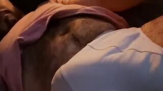 RUTHLESS BEAR FEEDS ON DICK HEAT