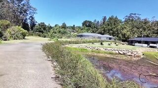 I Turned Dex Into My Personal Toy!