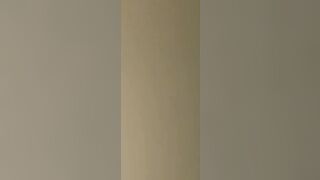 Slender German chick takes large rod in her booty during picnic