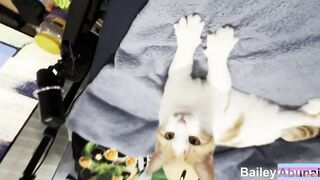 Trying to Make an Easter Movie: Behind the Carrot