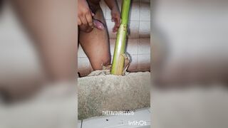 I use a banana plant