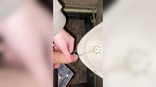 I pee in the public crapper POV