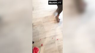 Chilling By The Pool With Alanna Pow And Her Large Natural Bazookas