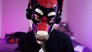 K9GoodBoy seduces raw college excitement