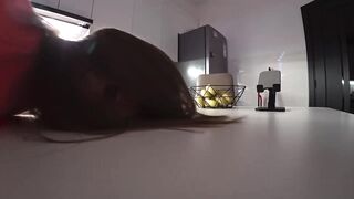 Allies screw my wife in the butt. Real cheating