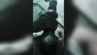 BBC hide and stroke in public
