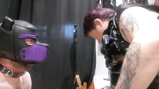 Pet Play Praise and pet Collar Training