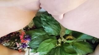 Void urine cleaning some dusty fake flowers