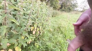 Morning pee those stinging nettles wanted me to pee on 'em