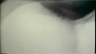 vintage 1972 - monster ebony weenies 1