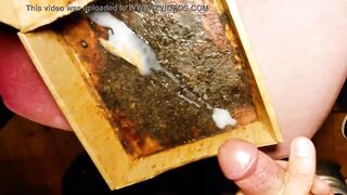 Worms inside ramrod - Cumming Mealworms - Spunk Flow