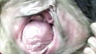 Unattractive Grannies Preverse by satyriasiss