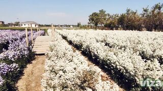 Sex vlog, Thailand mountain Masturbation in outdoor with marvelous large bazookas hotty & creampied