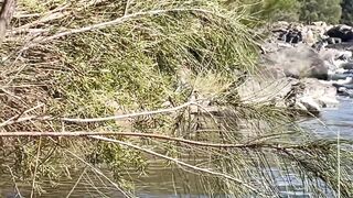 Undressed River Swim and Screwing