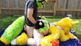 Yiff backyard Sex