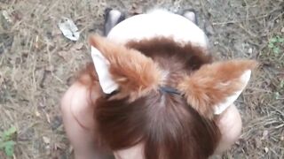 Wild Red Fox Pleasures a Hiker in the Woods and Becomes His Fresh Pet - AUTUMN PARTICULAR