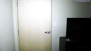 Sexually Excited golden-haired honey could not sleep previous to this babe gets banged, and experiences at least one climax