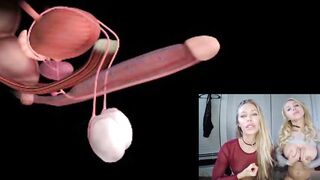 Hunk climax anatomy explained. Educational JOI.