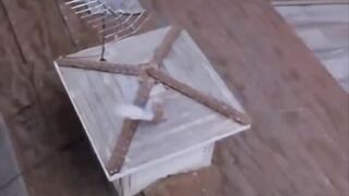 DOMINATRIX KWONYINLY UNSTOPPABLE GIANTESS