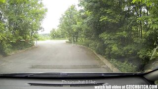 Youthful tattoed gal screws in car with stranger