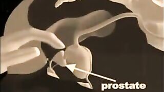 How to give a prostate massage