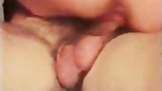 Classic German 1970s - Pomadenhengst (Anne Magle )