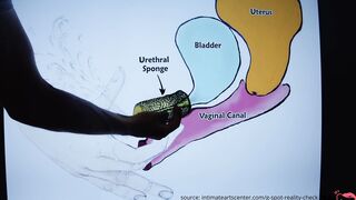 SQUIRTING TUTORIAL !!! How to make angel SQUIRT ?! MrPussyLicking