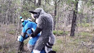Excited furries bang in the wild