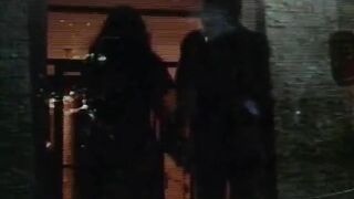 Virgin and the Lover (1978)