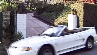 Der Clan three feat. Kelly Trump