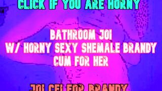 Be dominated by a T-Girl on your Crapper WASHROOM JOI CEI