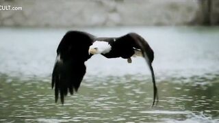 Bare Celebrities - Underwater Scenes