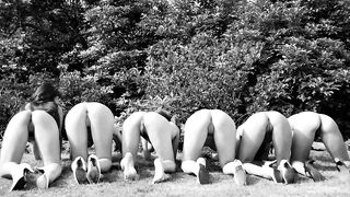 Cunts lined up (Slideshow)