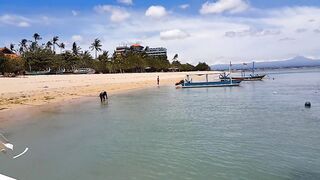 BIZARRE Public PEE from Boat at Tropical Beach Shore