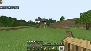 Minecraft Movie two: Building a Abode