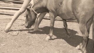 Vintage Taboo, Twat & Pooch